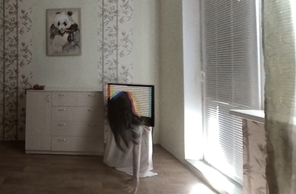 video-card-thumbnail