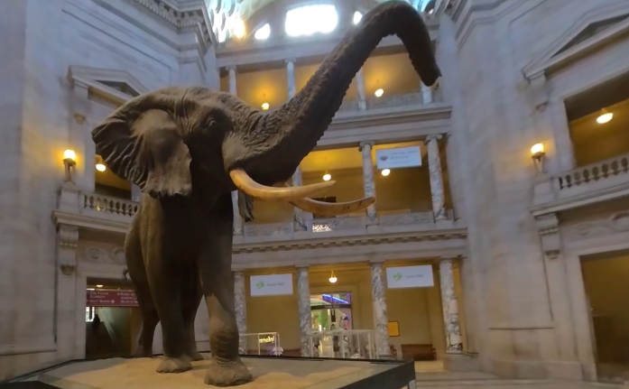 video-card-thumbnail