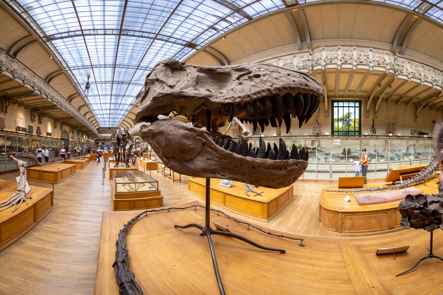 video-card-thumbnail