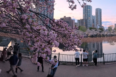 video-card-thumbnail