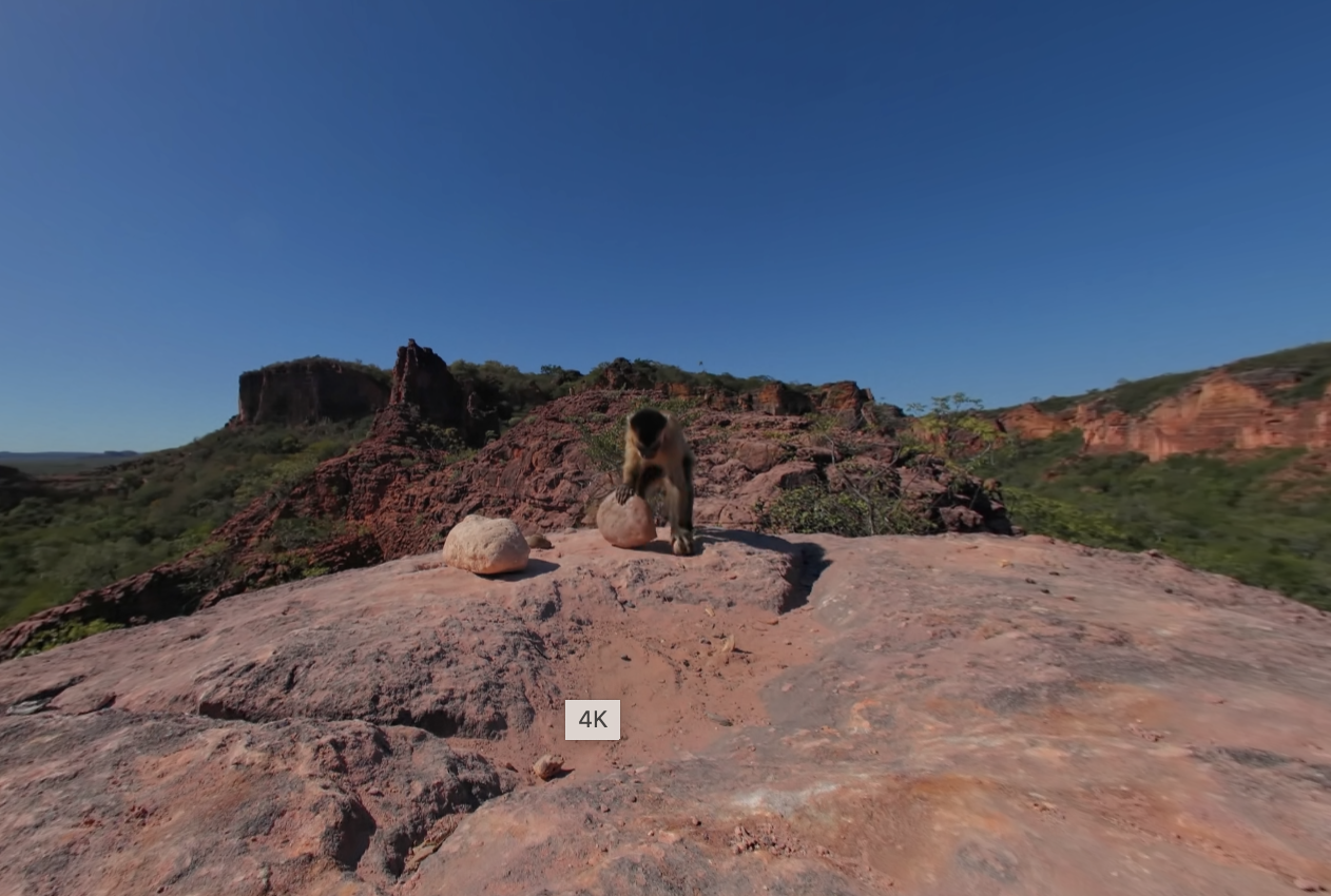 video-card-thumbnail