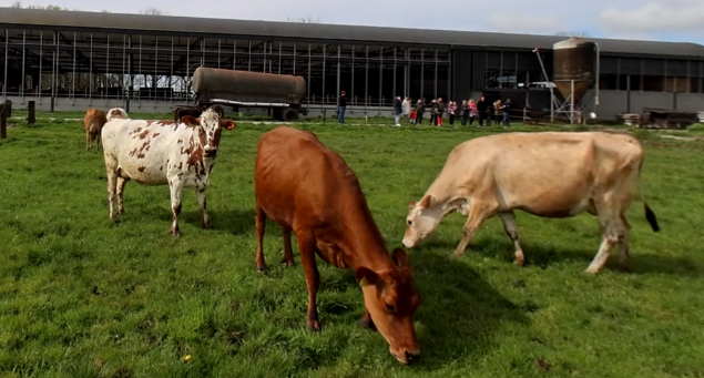 video-card-thumbnail