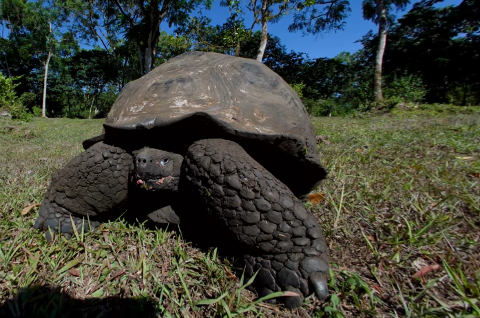 video-card-thumbnail