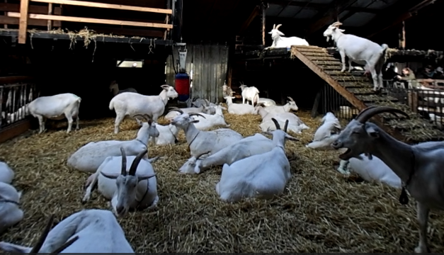 video-card-thumbnail