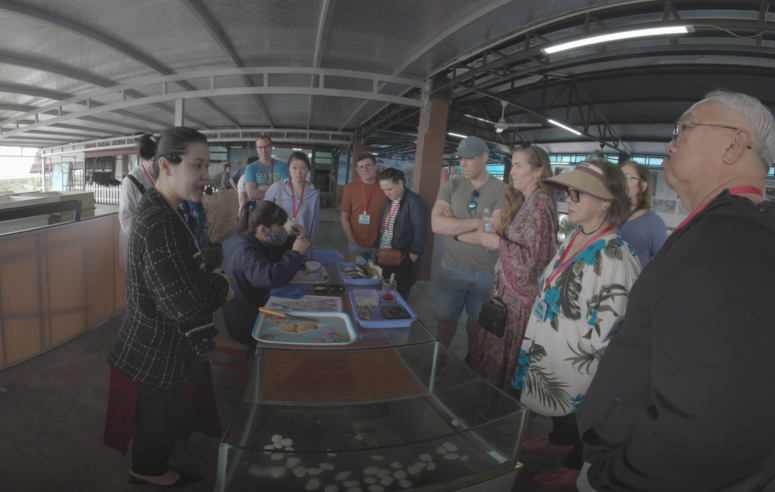 video-card-thumbnail