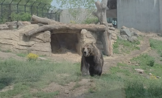 video-card-thumbnail