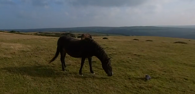 video-card-thumbnail