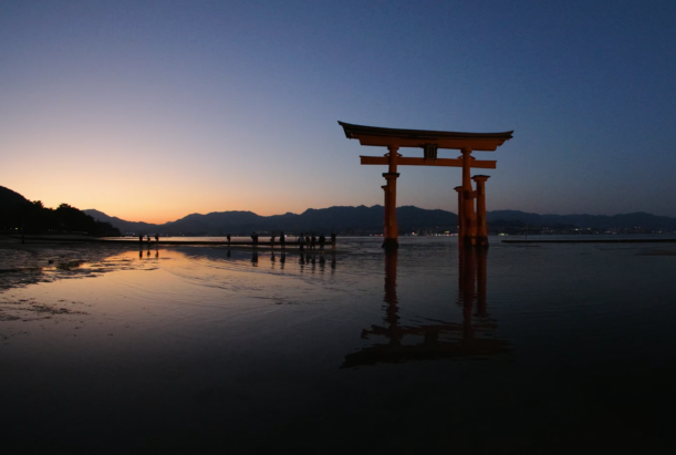 video-card-thumbnail