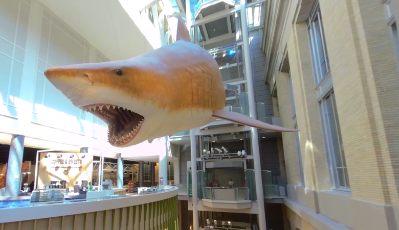 video-card-thumbnail