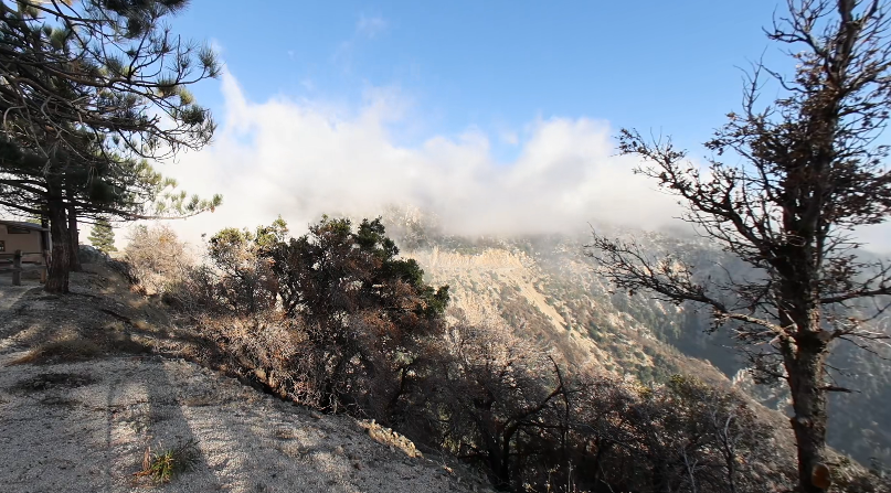 video-card-thumbnail