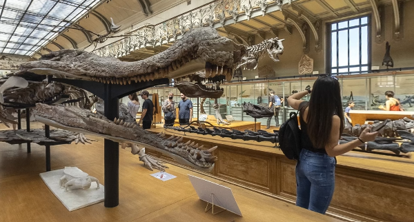 video-card-thumbnail