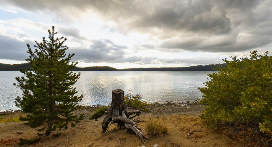 video-card-thumbnail