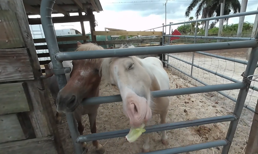 video-card-thumbnail