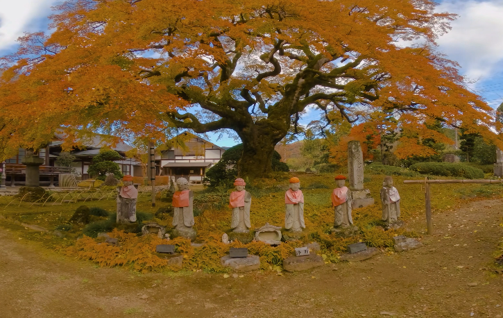 video-card-thumbnail