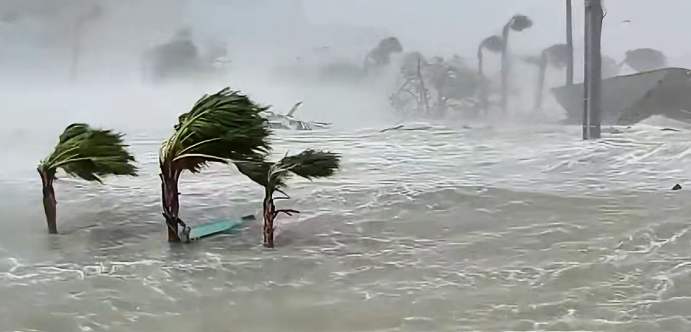 video-card-thumbnail