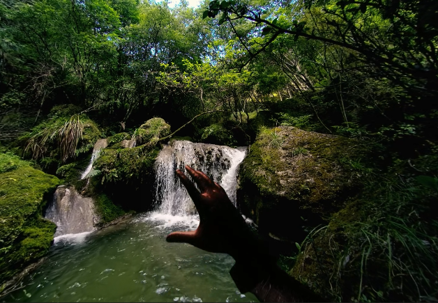 video-card-thumbnail