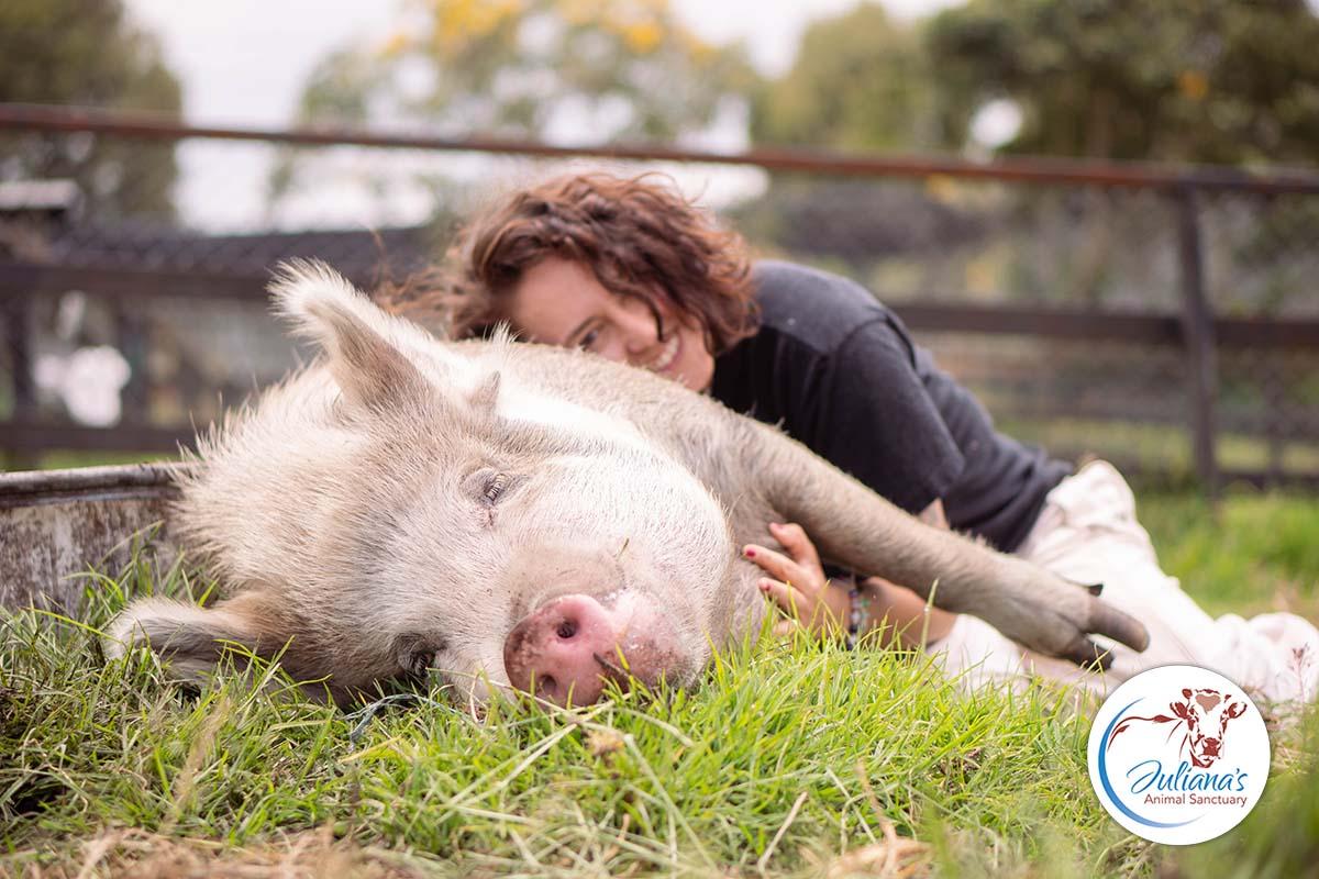 video-card-thumbnail