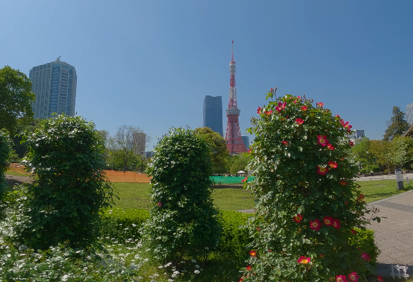 video-card-thumbnail