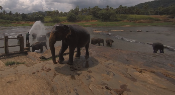 video-card-thumbnail