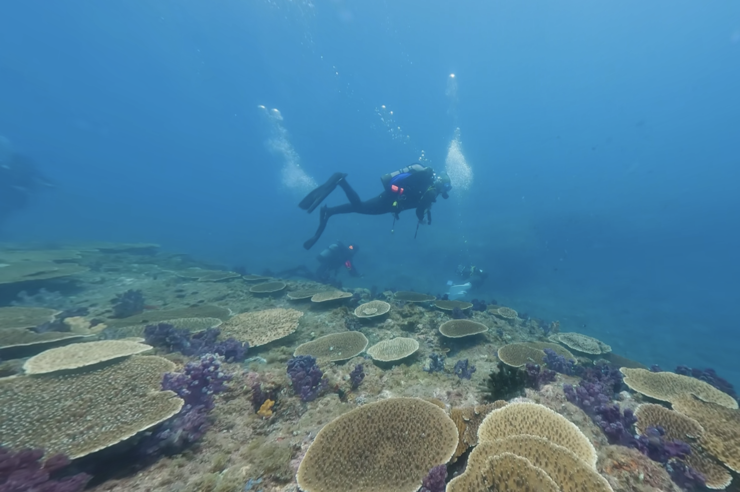 video-card-thumbnail