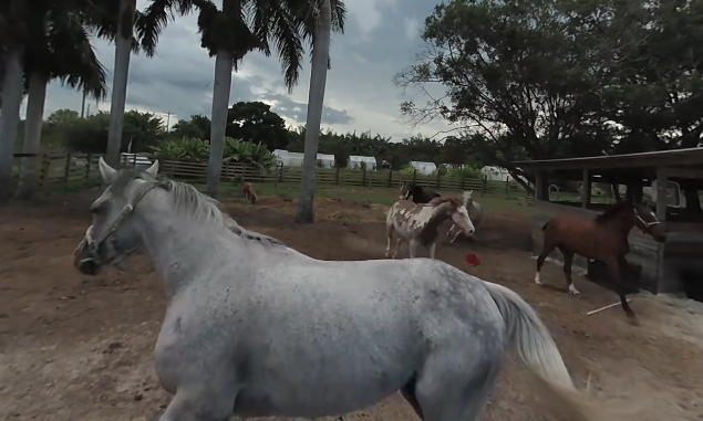 video-card-thumbnail