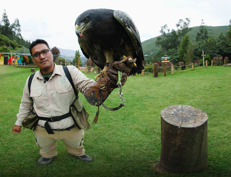 video-card-thumbnail